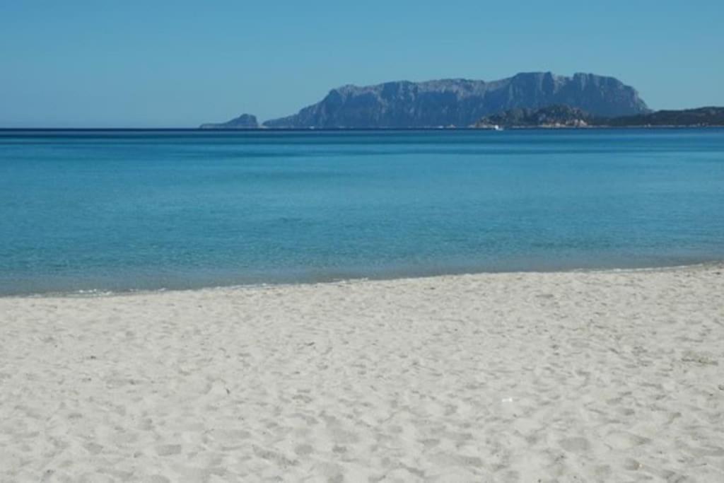 Sardegna Casa A 250 Metri Dal Mare Con Piscina Apartamento Olbia Exterior foto